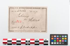 Etiketten zu Miniatureisenaxt (NHMW-PRAE-024366)